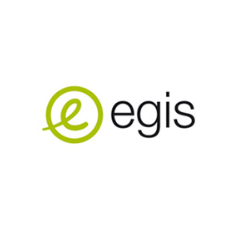 Logo 4